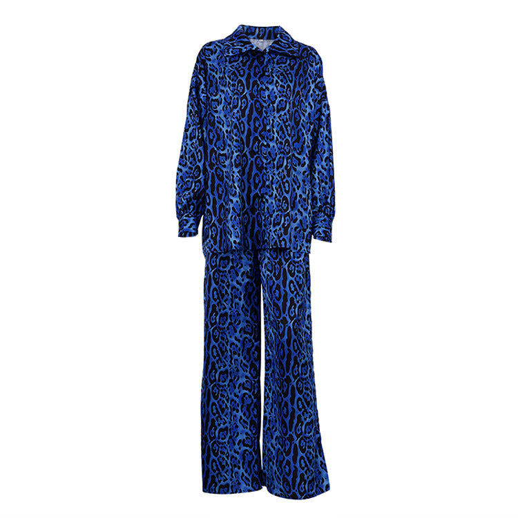 Woman's Leopard Print Long Sleeve Draping 2peice Set